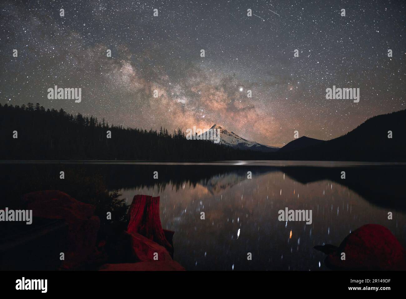 Starry sky with milky way over a forest hi-res stock photography and ...