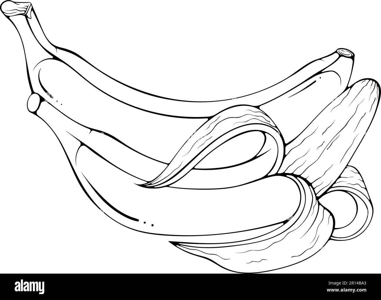 Two bananas Stock Vector Images Alamy