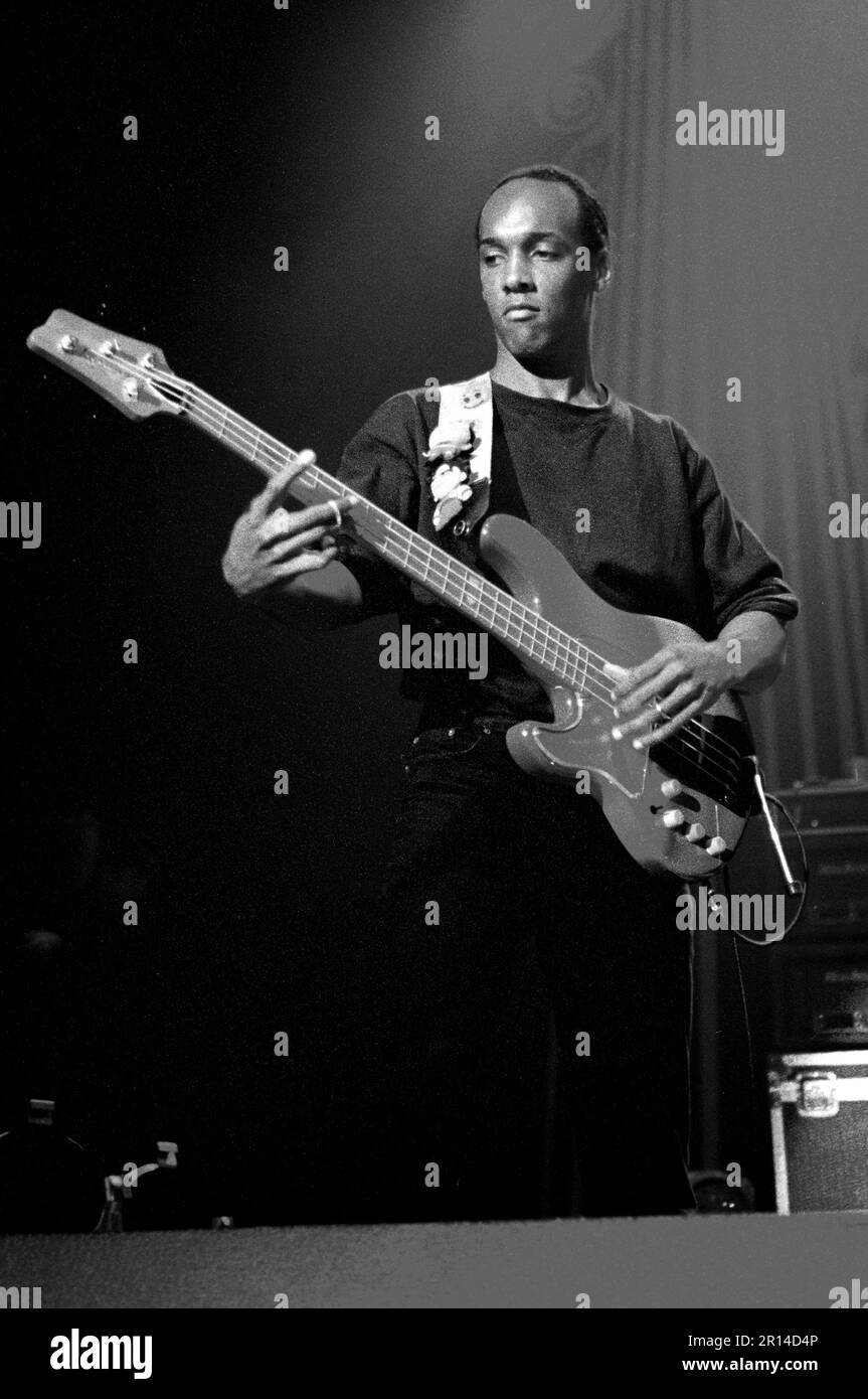 mark white bassist net worth - Ilustrasi 2