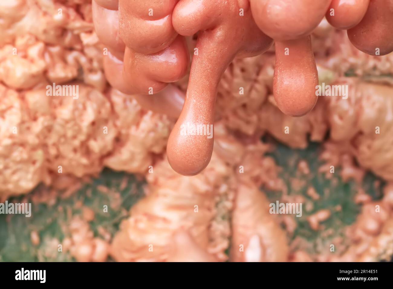 Spraying foam texture. Polyurethane foam close up. Stock Photo