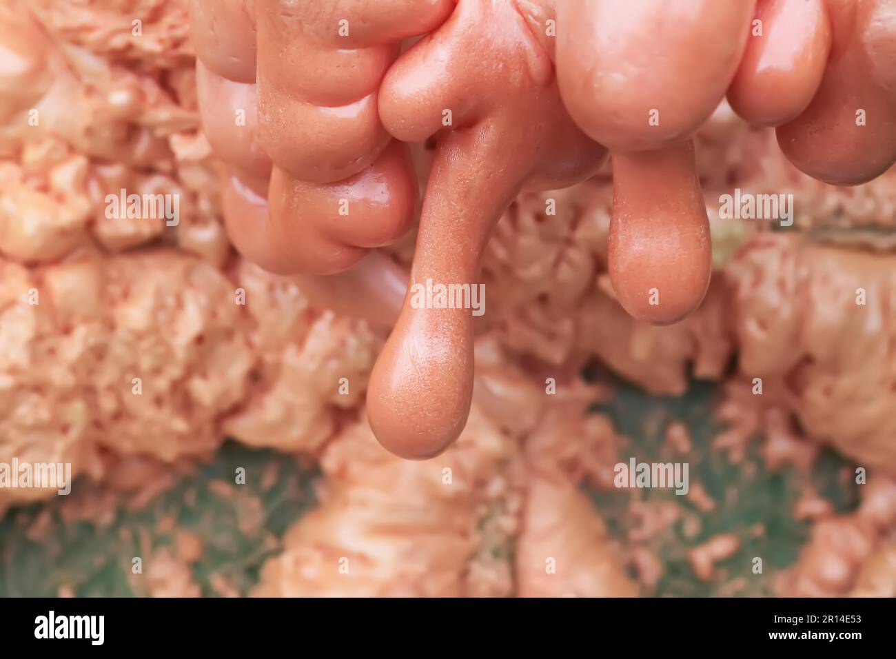 Spraying foam texture. Polyurethane foam close up. Stock Photo