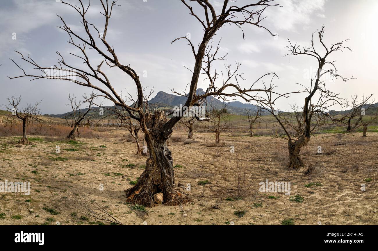 Pantano de zahara de la sierra hi-res stock photography and images - Alamy