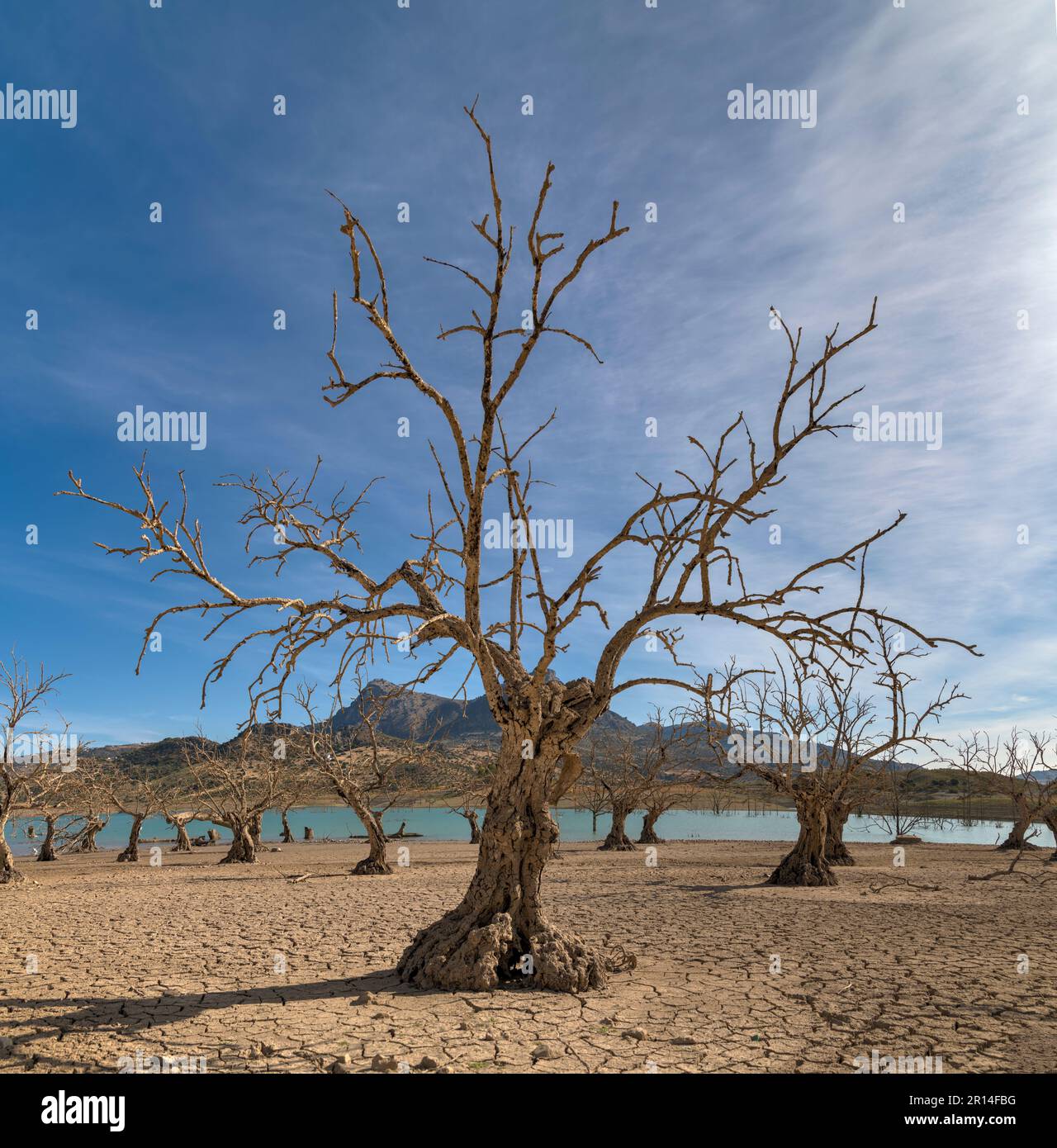 Pantano de zahara de la sierra hi-res stock photography and images - Alamy