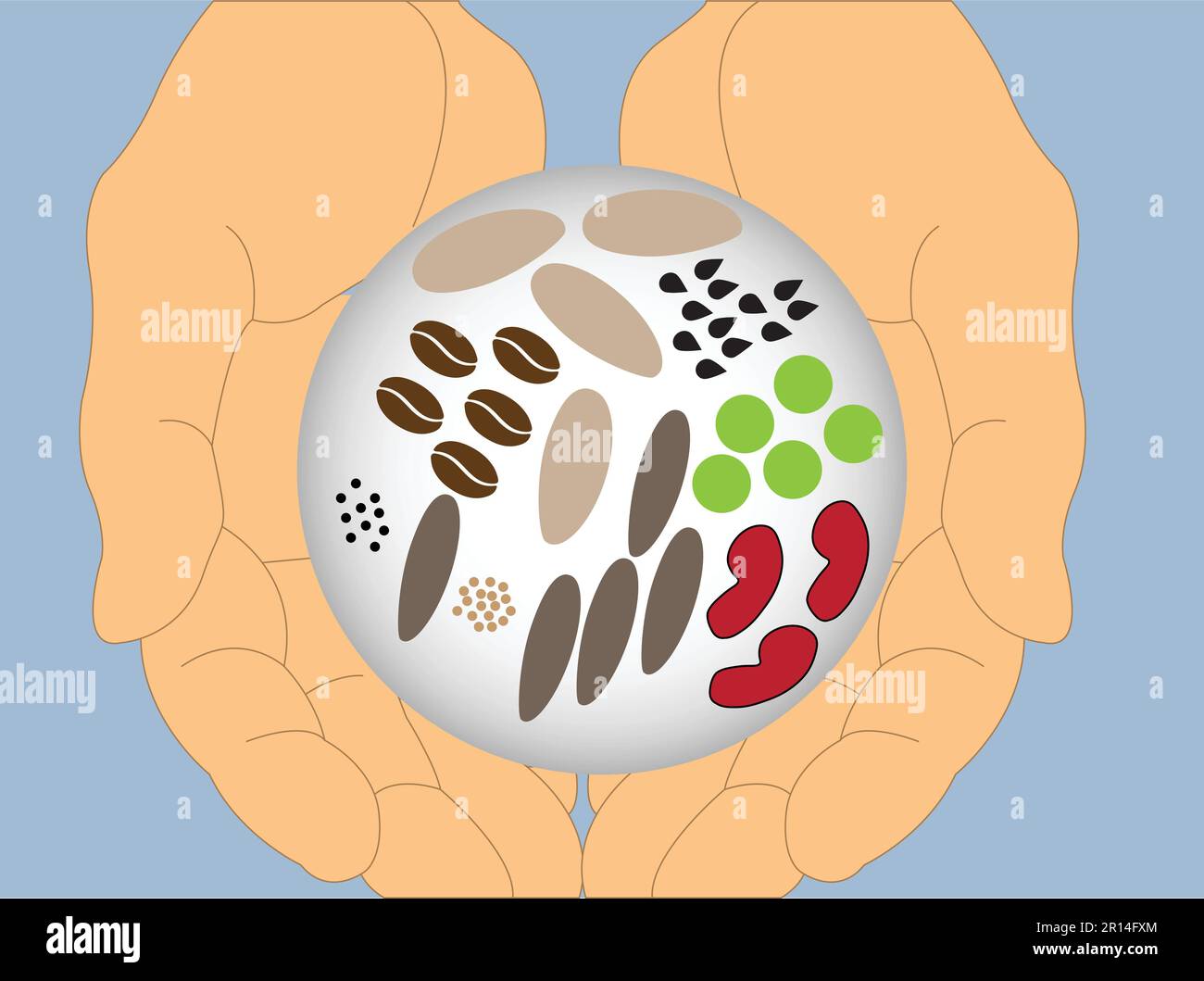 Hands holding seeds in a transparent globe Stock Vector
