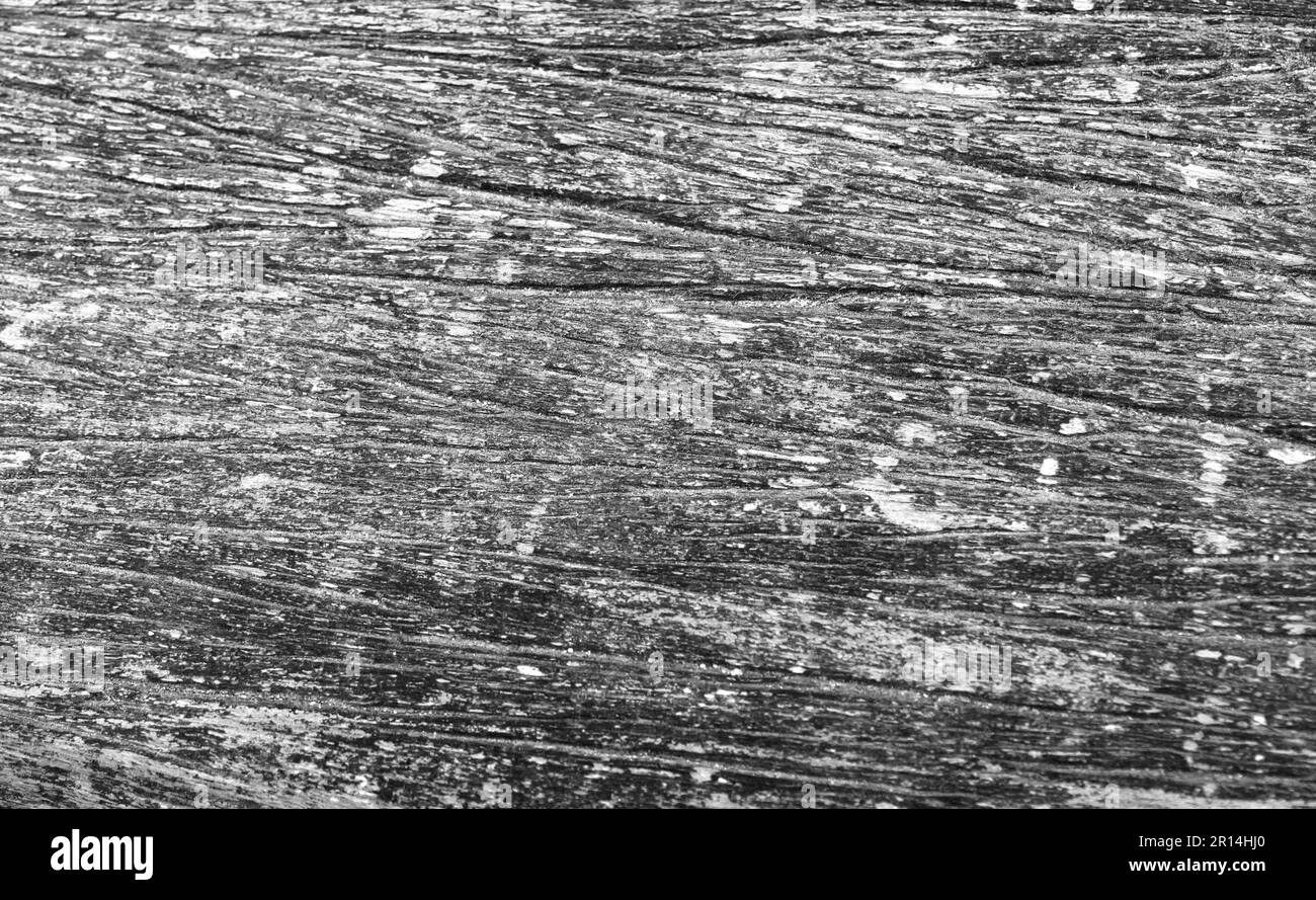 Abstract black and white wooden grain background or wallpaper Stock