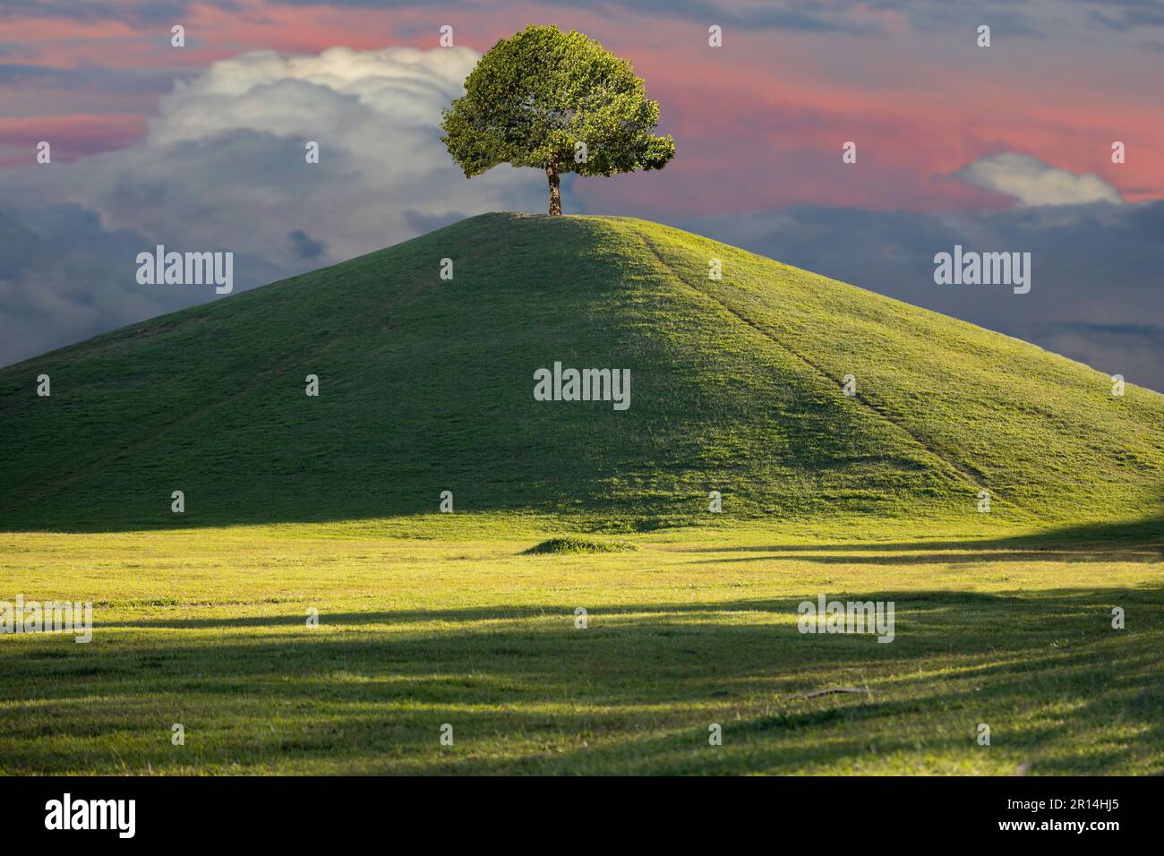 Wide landscape with mountain and a tree on top. low and uniform lawn, clean and bright scenery