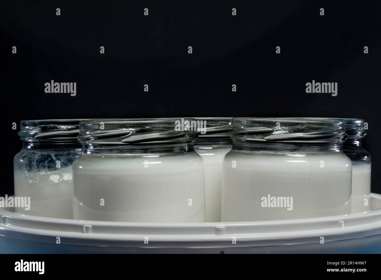 Homemade yogurt with an electric yogurt maker Stock Photo Alamy