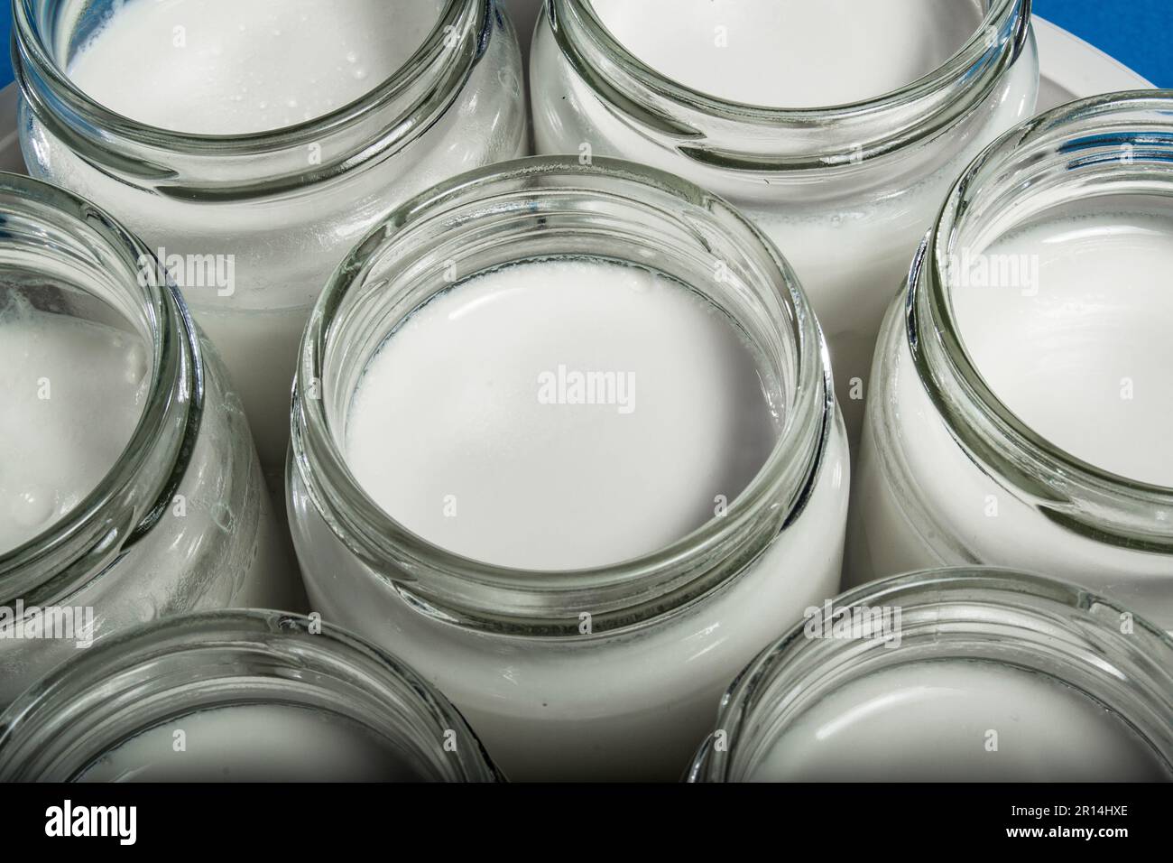 Homemade yogurt with an electric yogurt maker Stock Photo Alamy