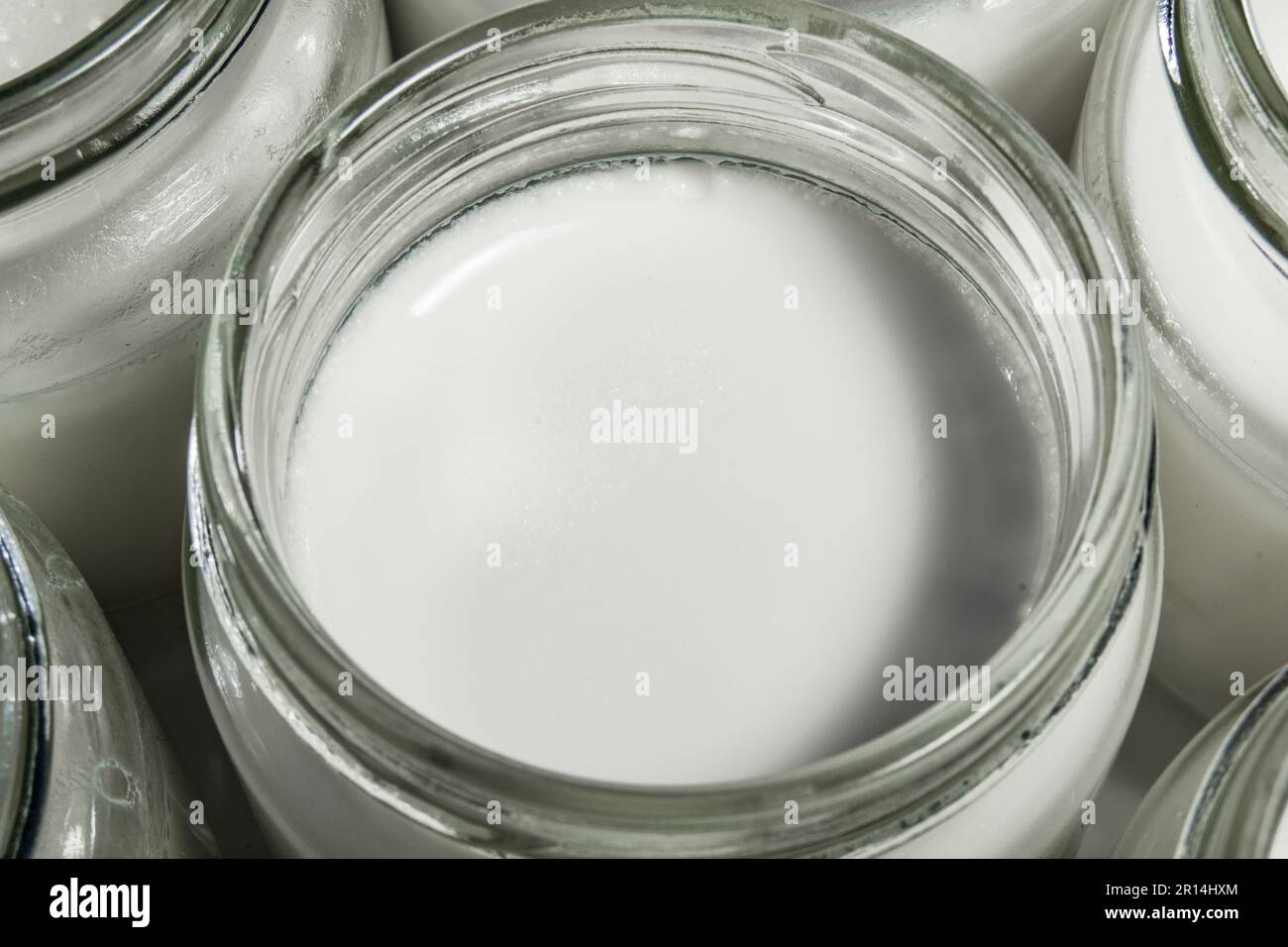 Homemade yogurt with an electric yogurt maker Stock Photo Alamy