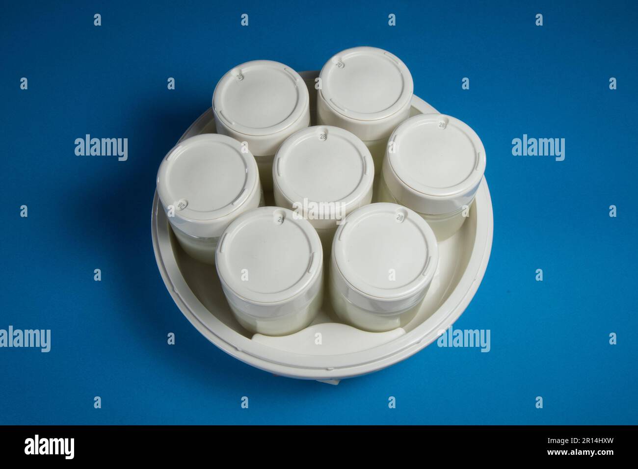 Homemade yogurt with an electric yogurt maker Stock Photo Alamy