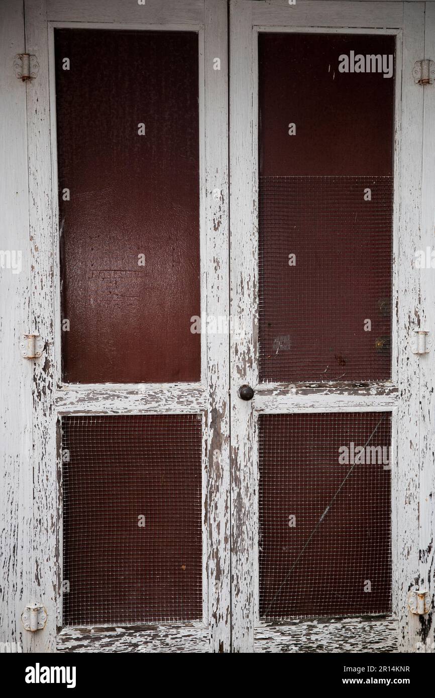 Chichen Screen brown and white rustic door with chicken wire, mesh as a screen Stock ...