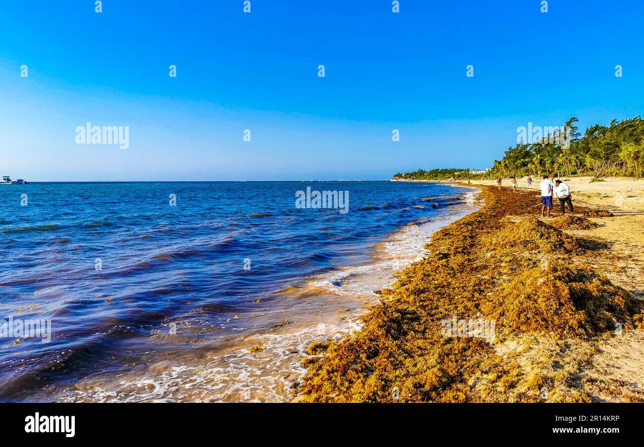 Playa del Carmen Quintana Roo Mexico 31. March 2023 The beautiful ...