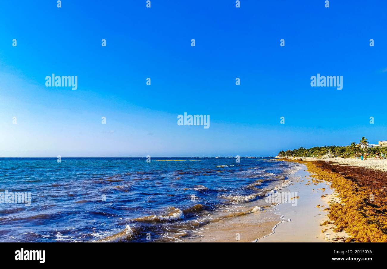 The beautiful Caribbean beach totally filthy and dirty the nasty ...
