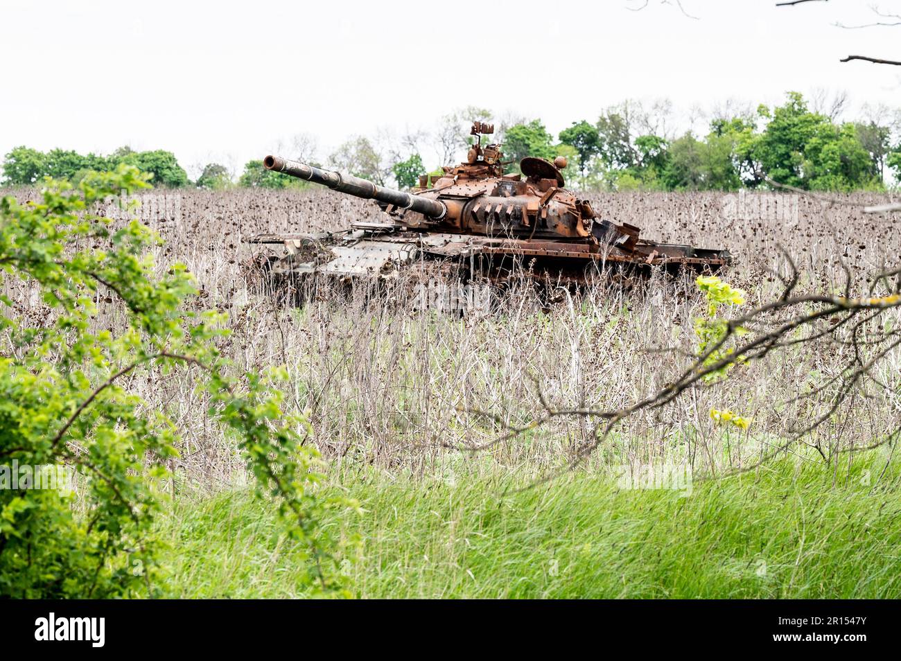 A destroyed Russian tank near Kam'yanka, Ukraine. Stock Photo