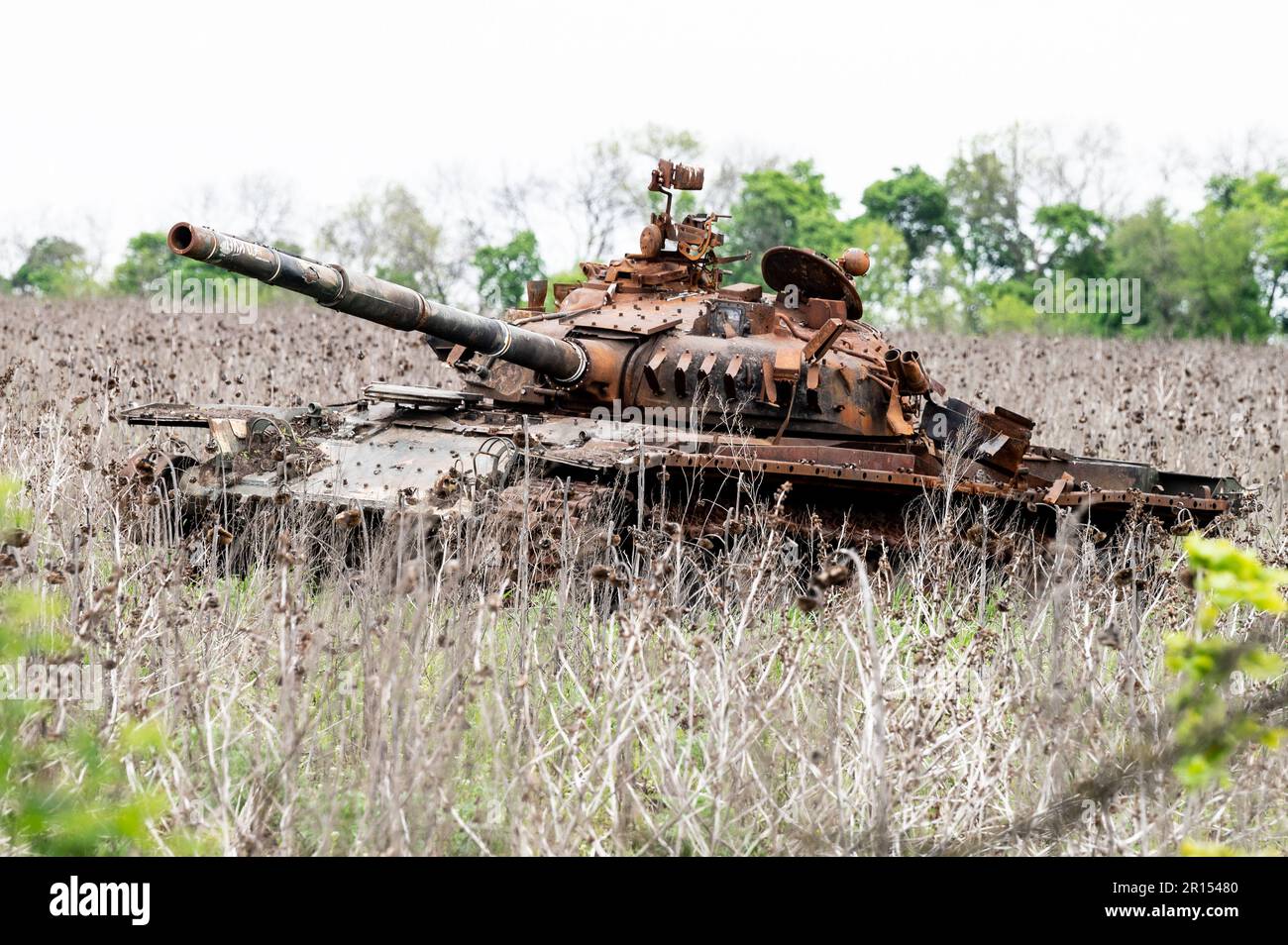 A destroyed Russian tank near Kam'yanka, Ukraine. Stock Photo