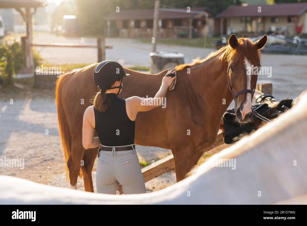 Smiling girl wearing a black riding helmet grooming her horse, gently
