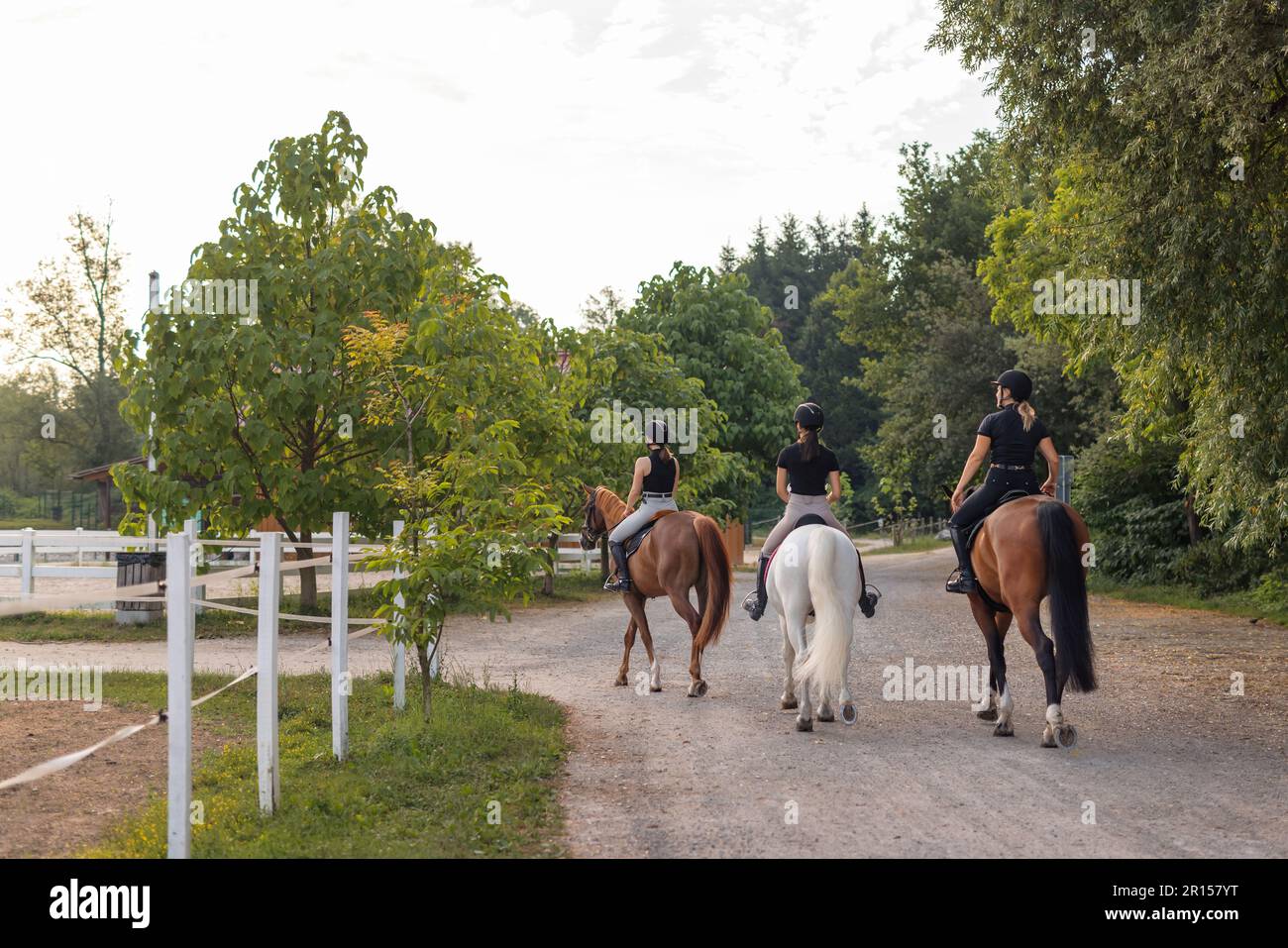 Rear view of three female riders riding horses side by side near white ...