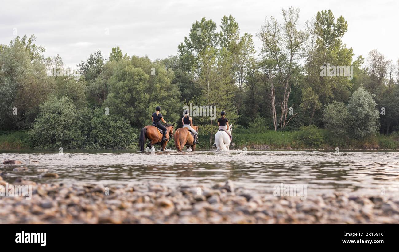 Three female riders crossing the shallow river by riding horses at the ...