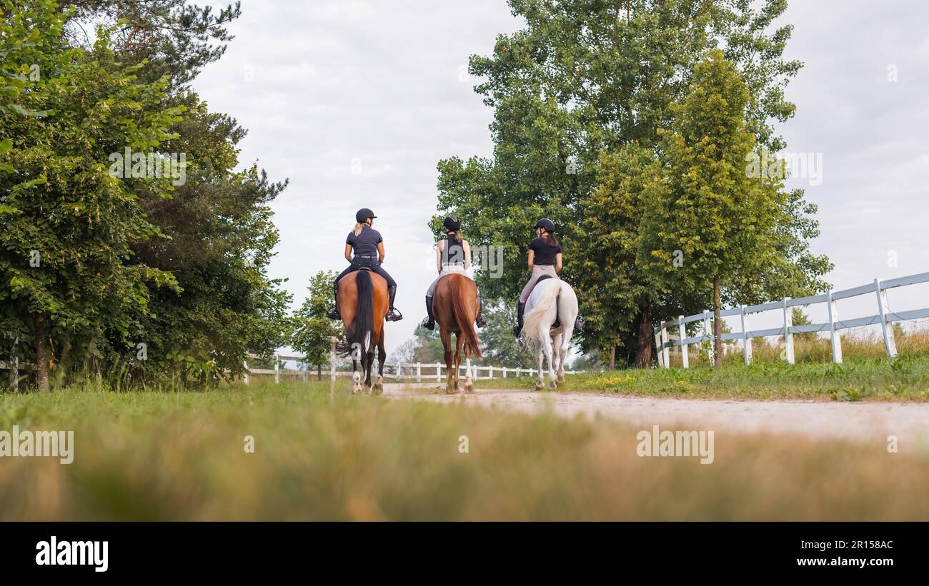 Three female riders riding horses along the trail. Recreation and ...
