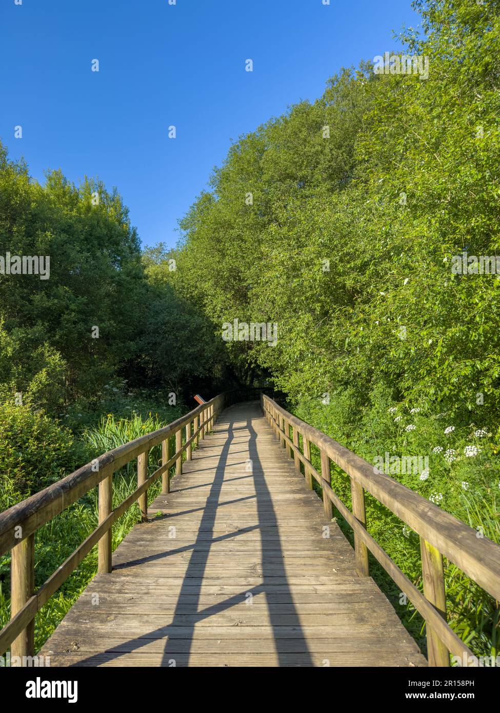 Uima hi-res stock photography and images - Alamy