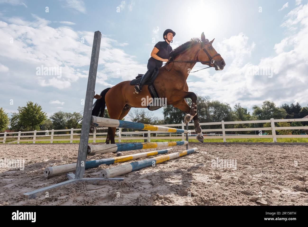 Female rider on chestnut horse jumping over a hurdle at the equestrian center on a sunny summer day. Equitation sport concept. Stock Photo