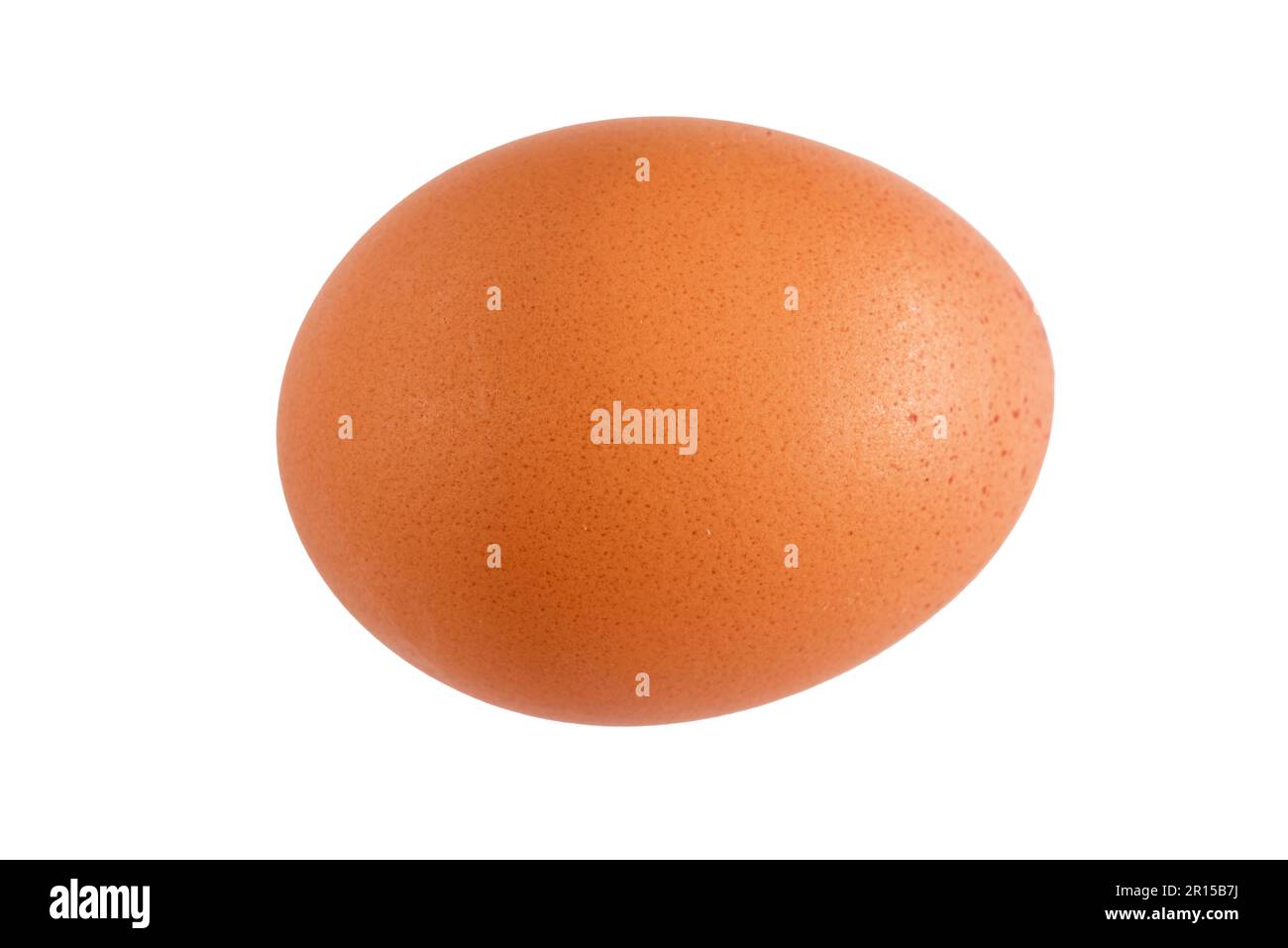 brown egg isolated on white Stock Photo