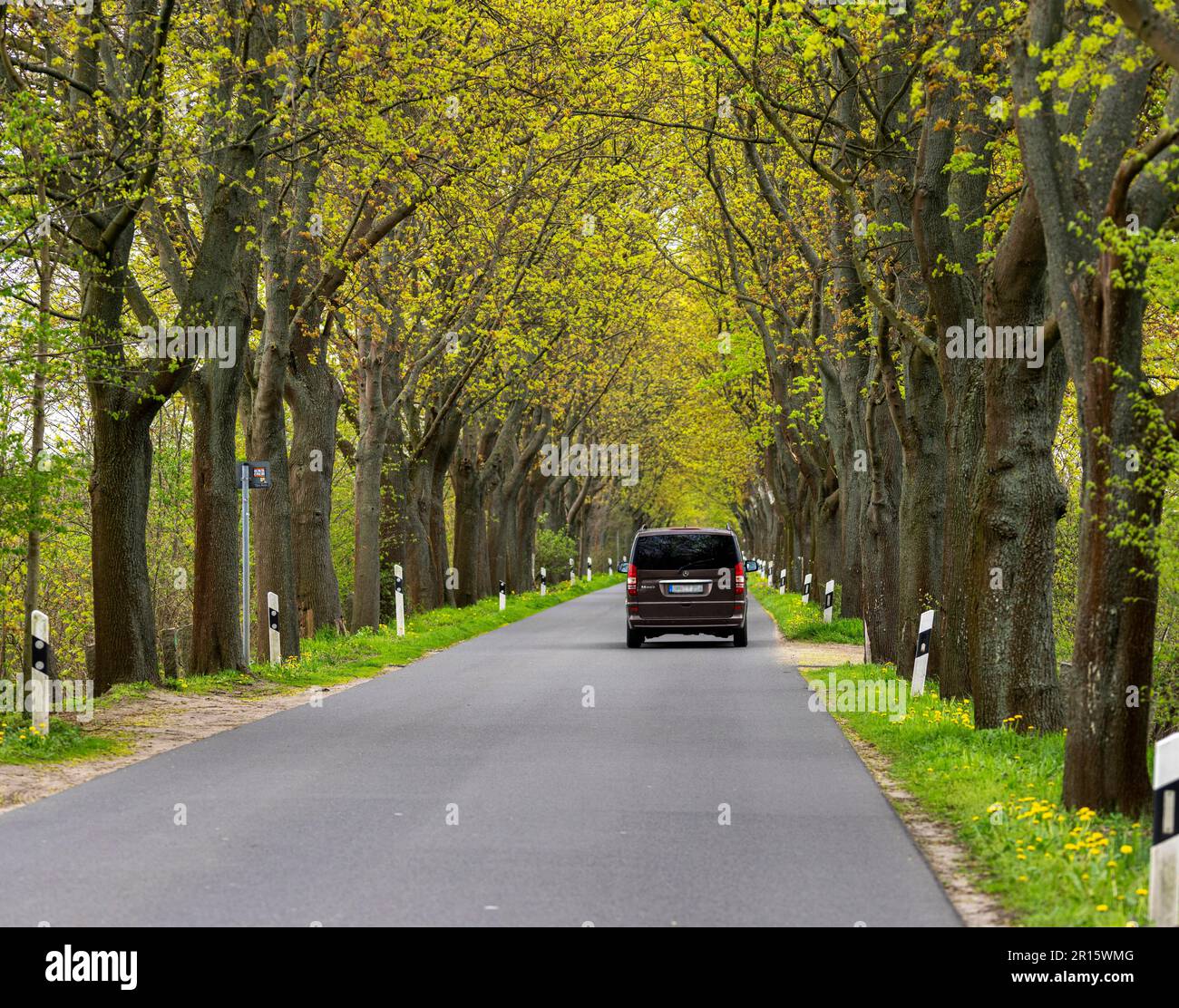 Country road in the north of Berlin, Berlin, Germany Stock Photo - Alamy