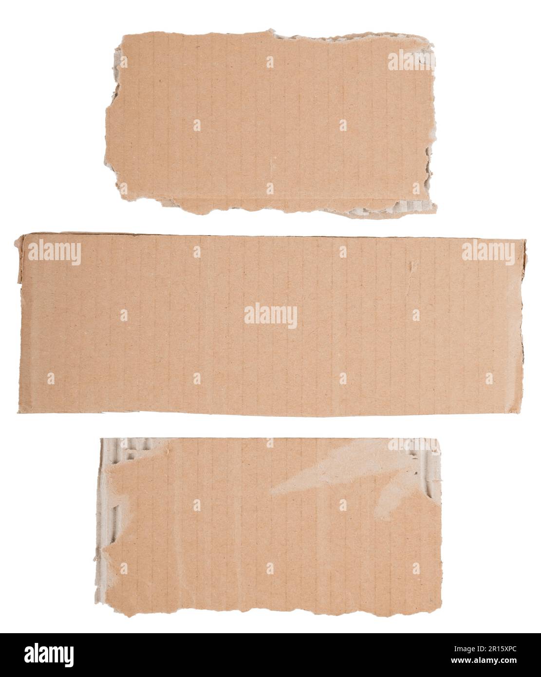 set of blank cardboard signs with torn edges Stock Photo