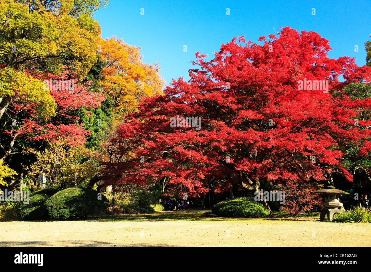 Autumn colors in Rikugien Stock Photo Alamy