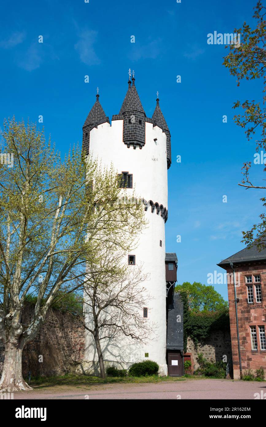 Keep, Steinheim Castle, Museum of Local History, Steinheim am Main, Hanau, Hesse, Germany Stock Photo