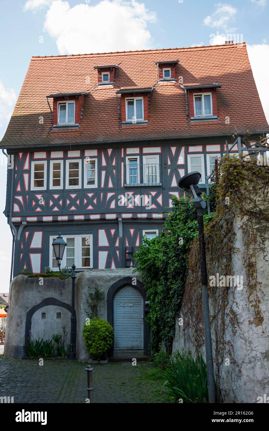 Indagine, House of Johannes Rosenbach, Steinheim am Main, Hanau, Hesse, Germany Stock Photo