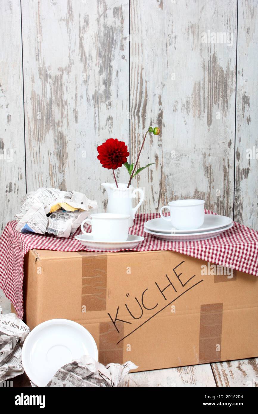 Carton, cartons, moving, moving boxes, moving box, kitchen, dishes