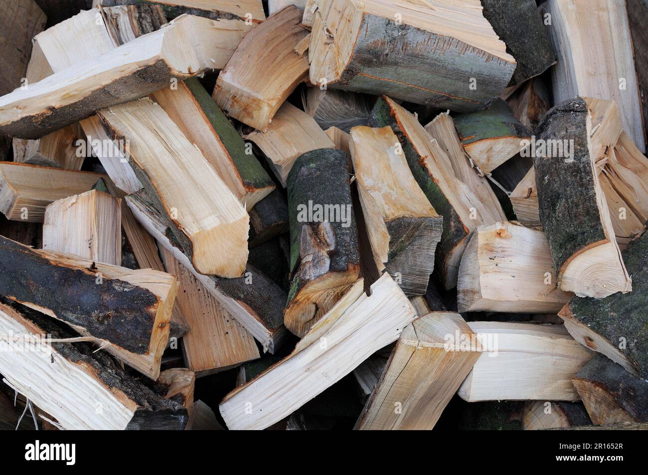 Firewood, fireplace wood, wood, split, cubic metre, copper beech (Fagus  silvatica), Krefeld, North Rhine-Westphalia, North Rhine-Westphalia,  Germany Stock Photo - Alamy