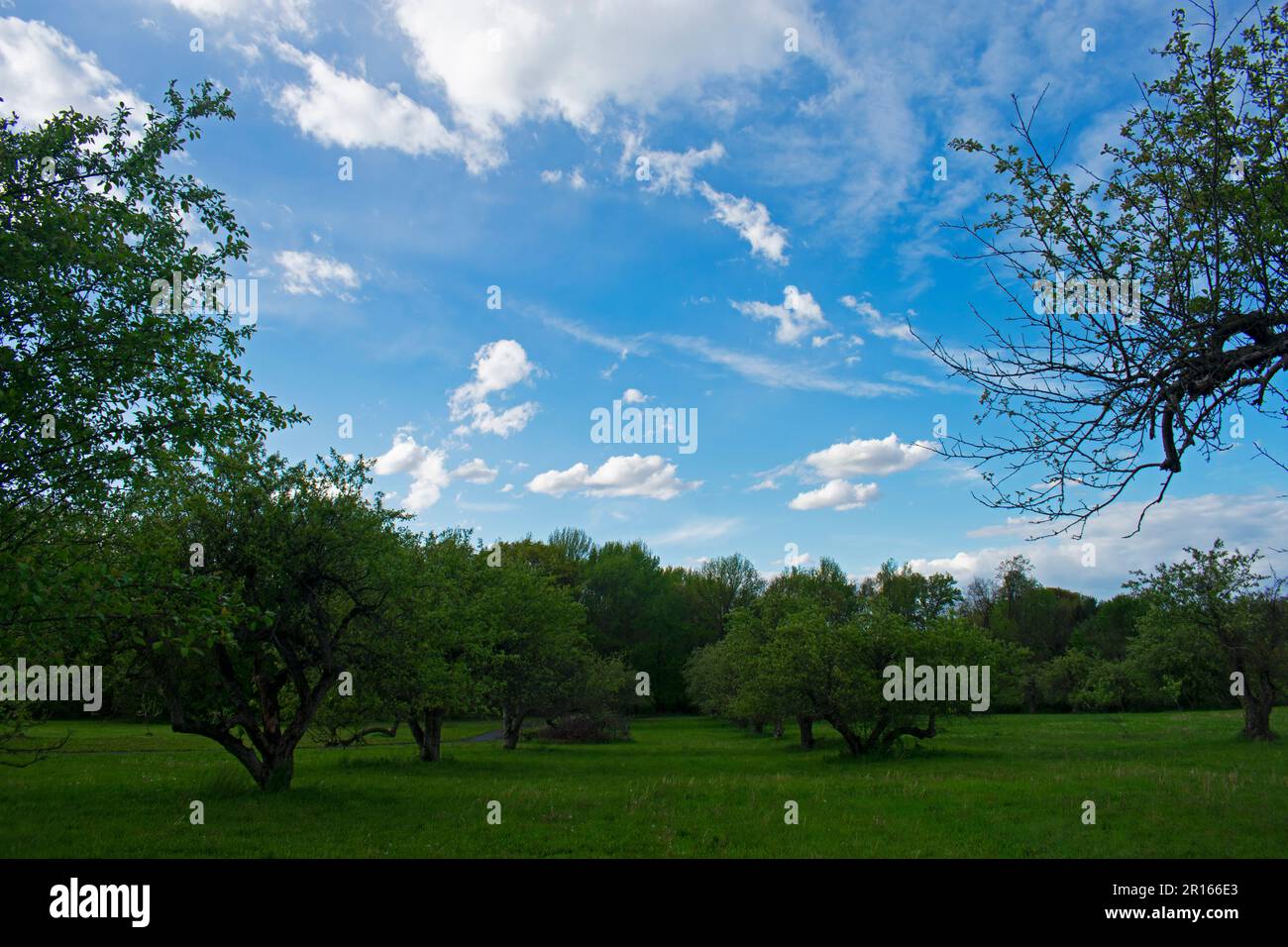 Peaceful cumulus and stratus clouds hover over a local park in the suburban town of Old Bridge, New Jersey, USA -09 Stock Photo