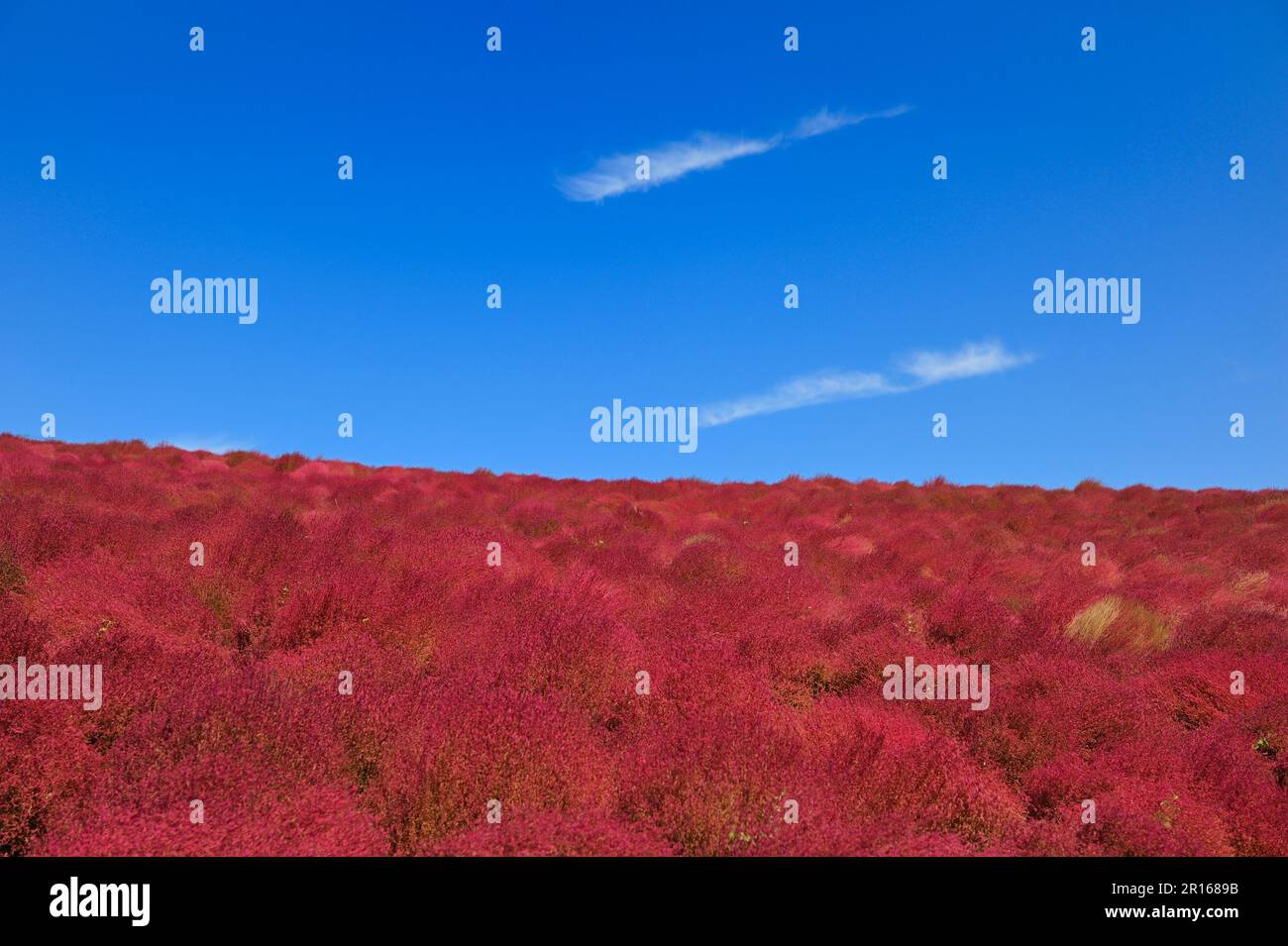 Miharashi hill japan hi-res stock photography and images - Alamy