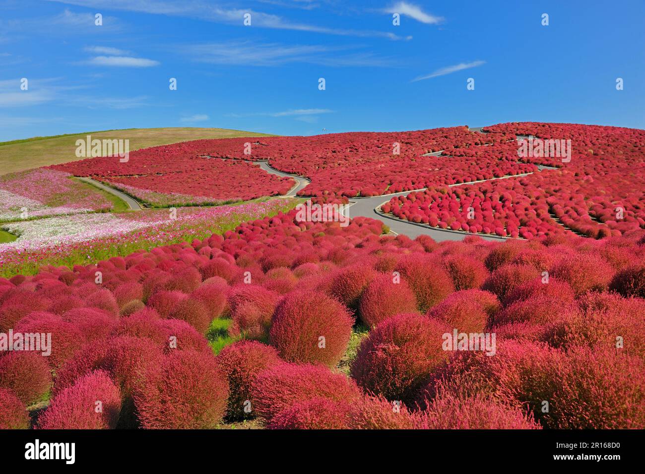 Miharashi no oka hi-res stock photography and images - Alamy