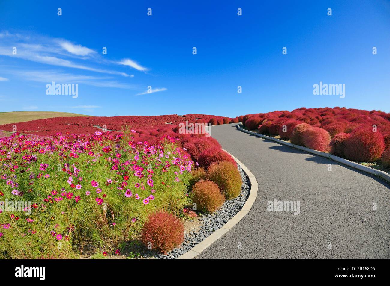 Miharashi hill japan hi-res stock photography and images - Alamy