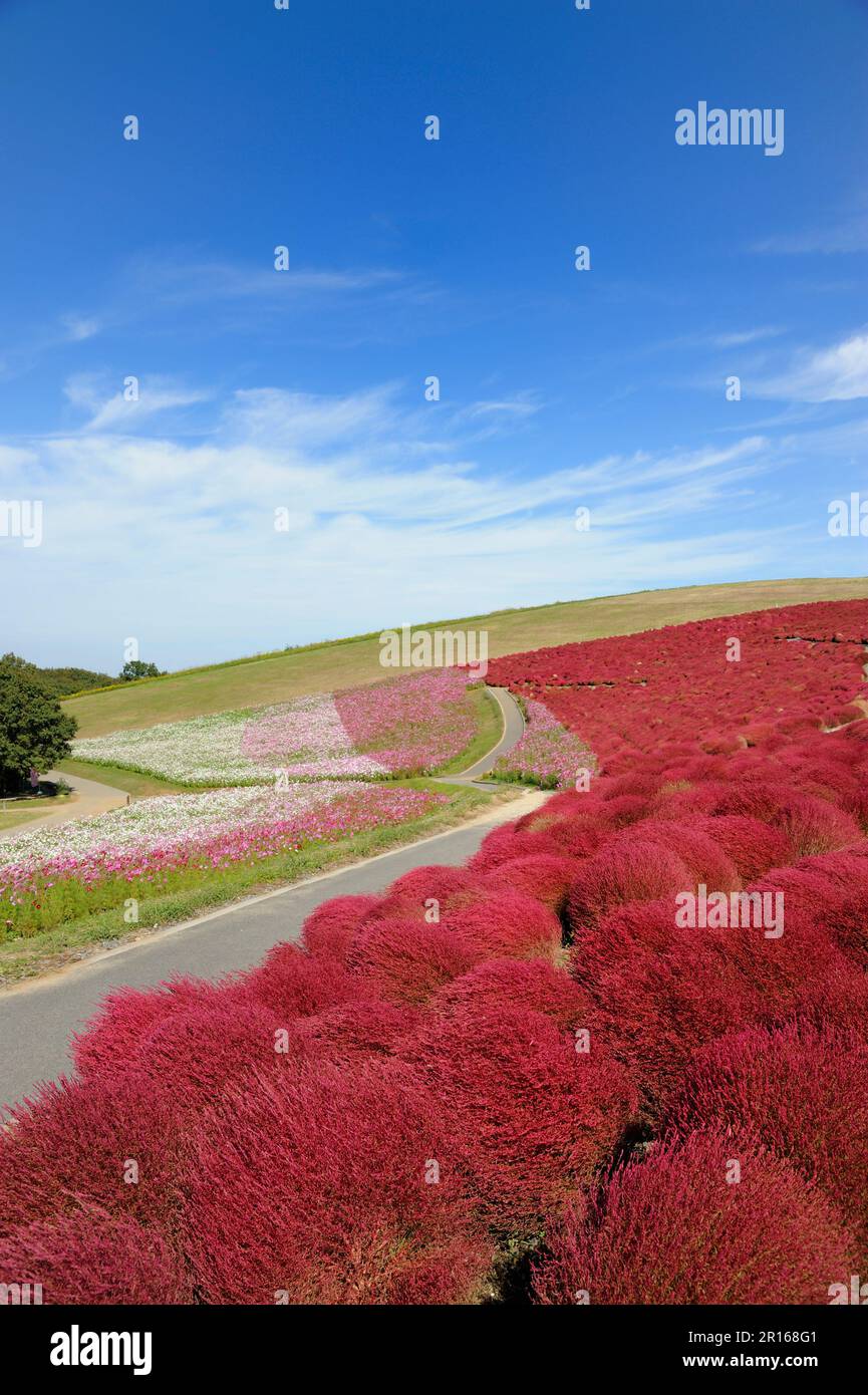 Miharashi no oka hi-res stock photography and images - Alamy