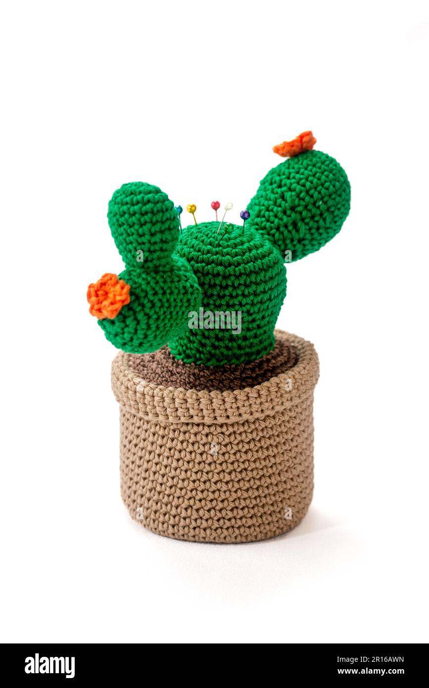 pincushion in the shape of a cactus in a pot, crocheted, on a white background Stock Photo