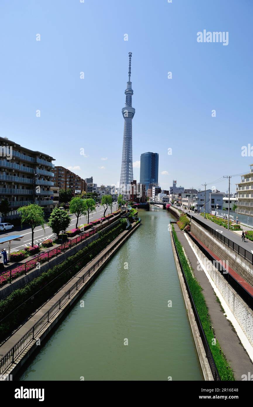 Tokyo Sky Tree viewed from the north river Jitsuken Stock Photo