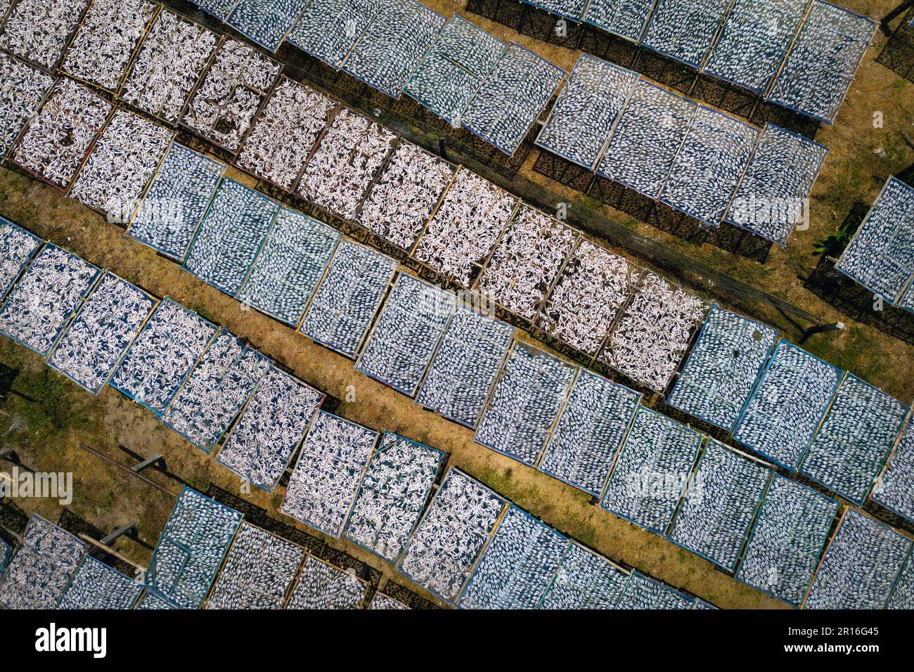 aerial view of fish farm during drying fish process Stock Photo