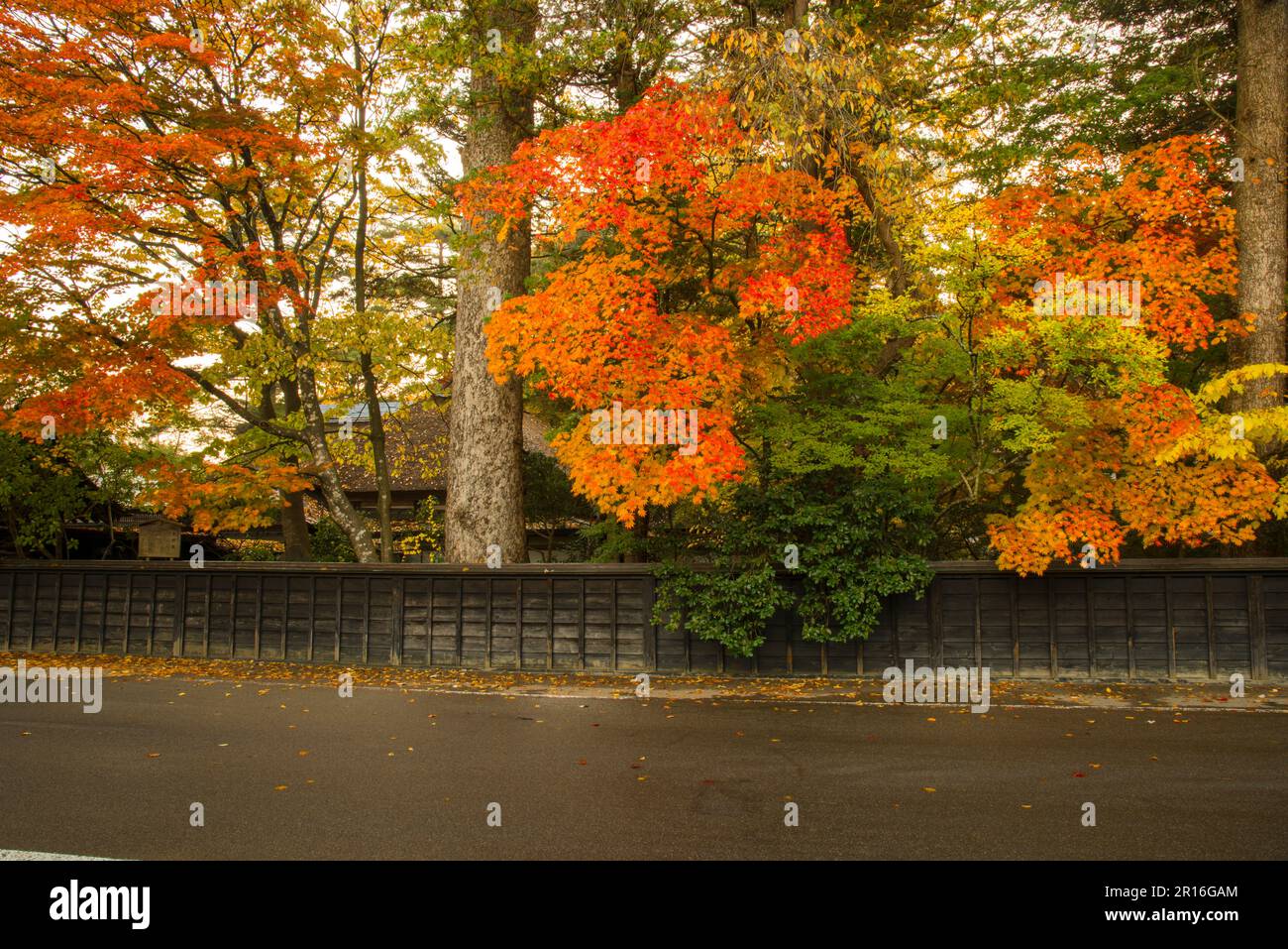 The Kakunodate samurai residences with fall colors Stock Photo - Alamy