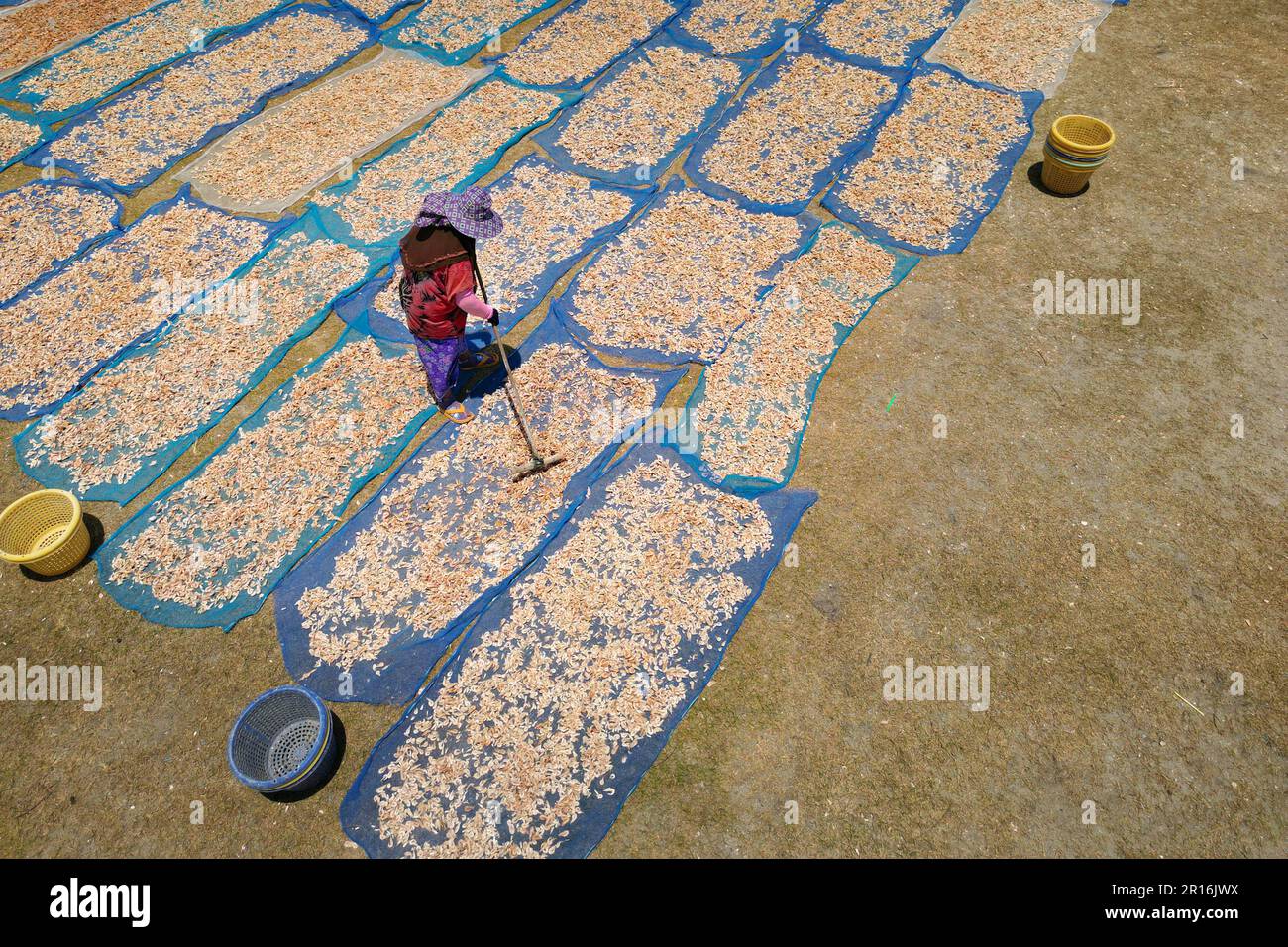aerial view of fisherman working during drying shrimp process Stock