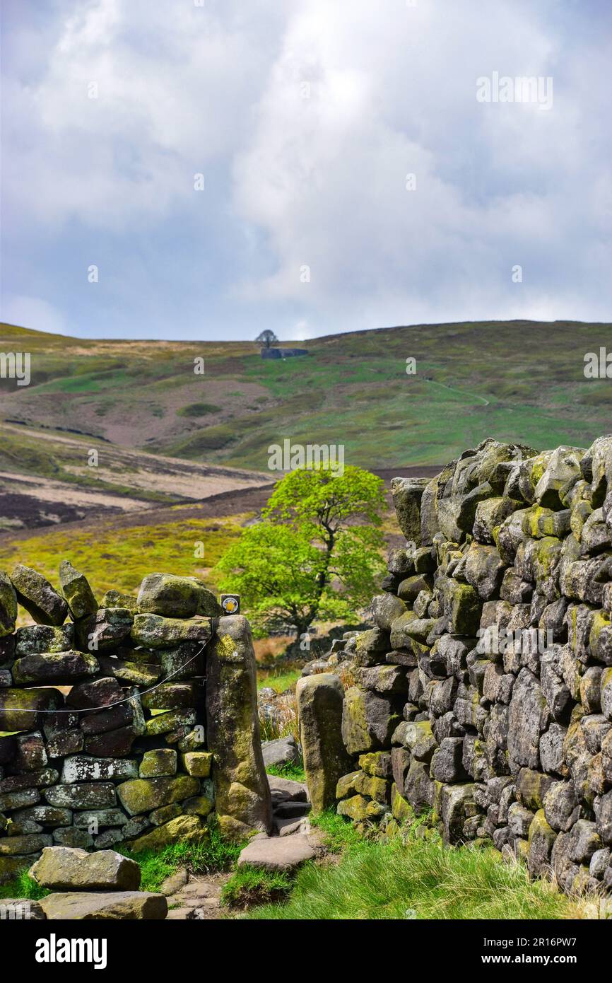 Top Withens, Pennine Way, Haworth Stock Photo Alamy