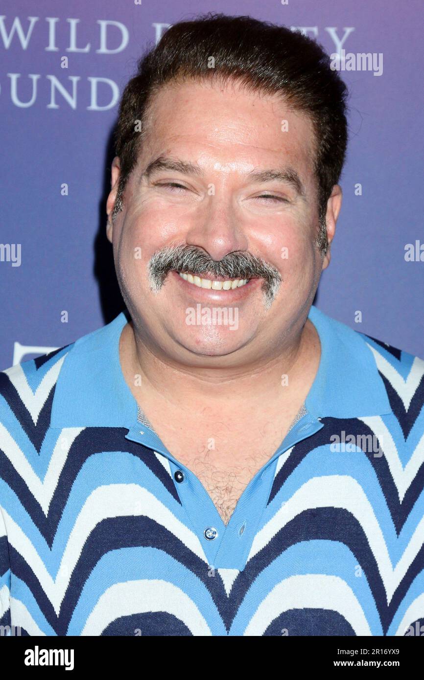 Los Angeles, CA. 11th May, 2023. Joel Michaely at arrivals for WILD BEAUTY: MUSTANG SPIRIT OF THE WEST Premiere, Directors Guild of America DGA Theater Complex, Los Angeles, CA May 11, 2023. Credit: Priscilla Grant/Everett Collection/Alamy Live News Stock Photo