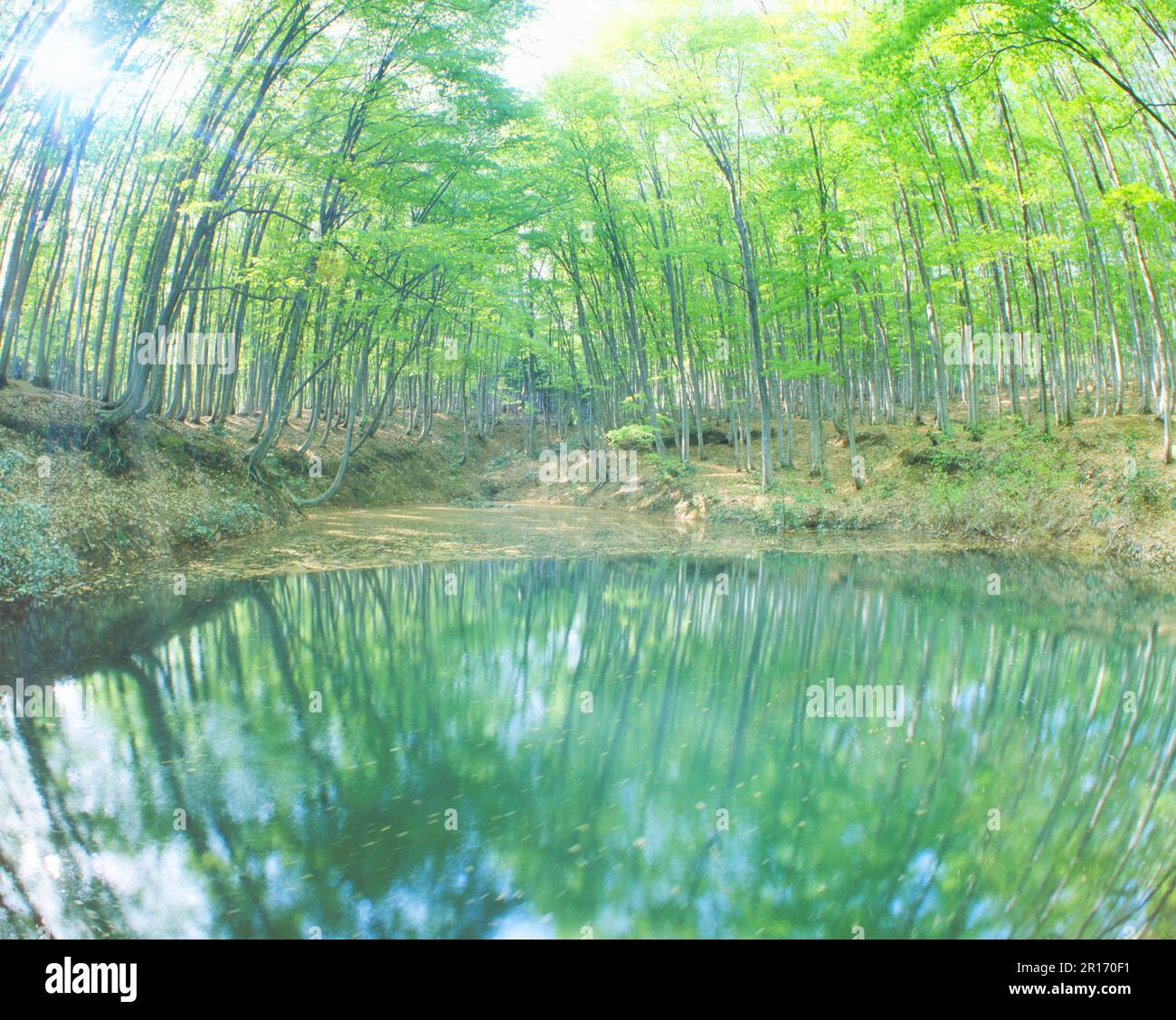 Beautiful nature phenomena hi-res stock photography and images - Alamy