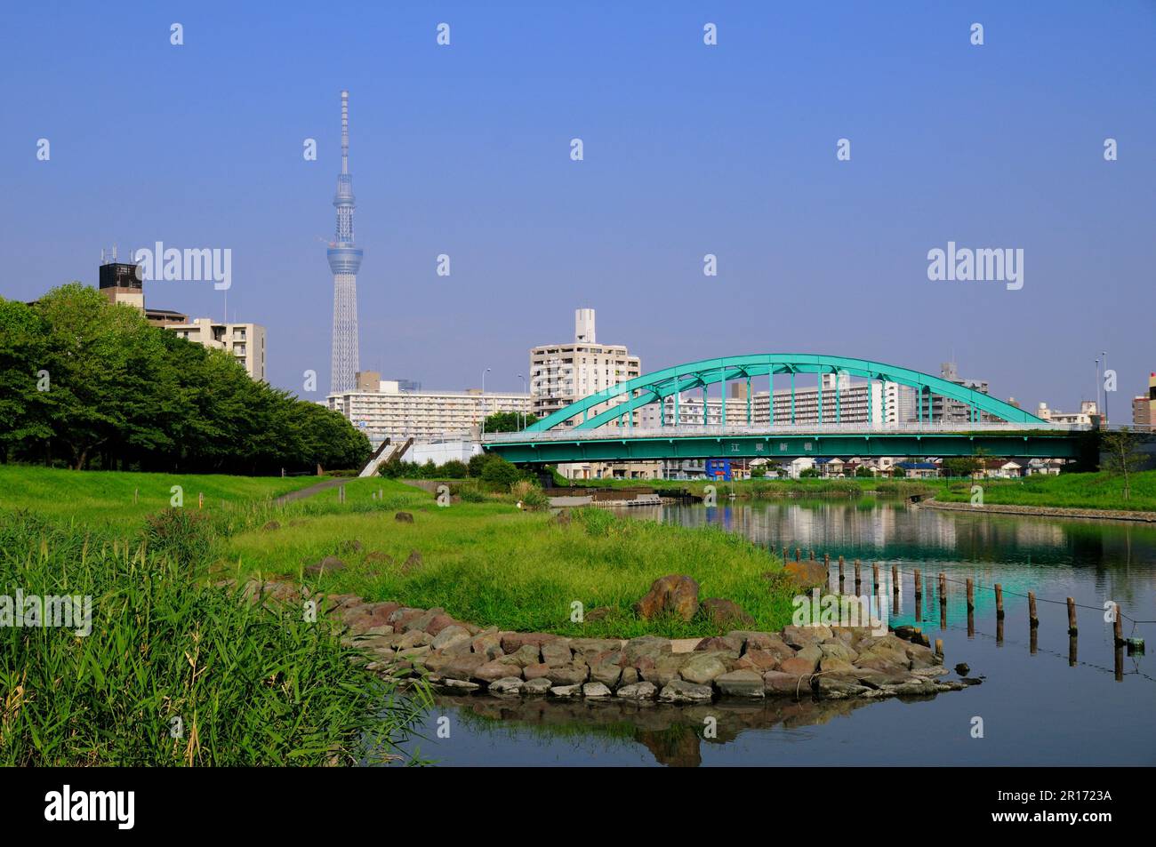 Kameido Central Park and Tokyo sky tree Stock Photo Alamy