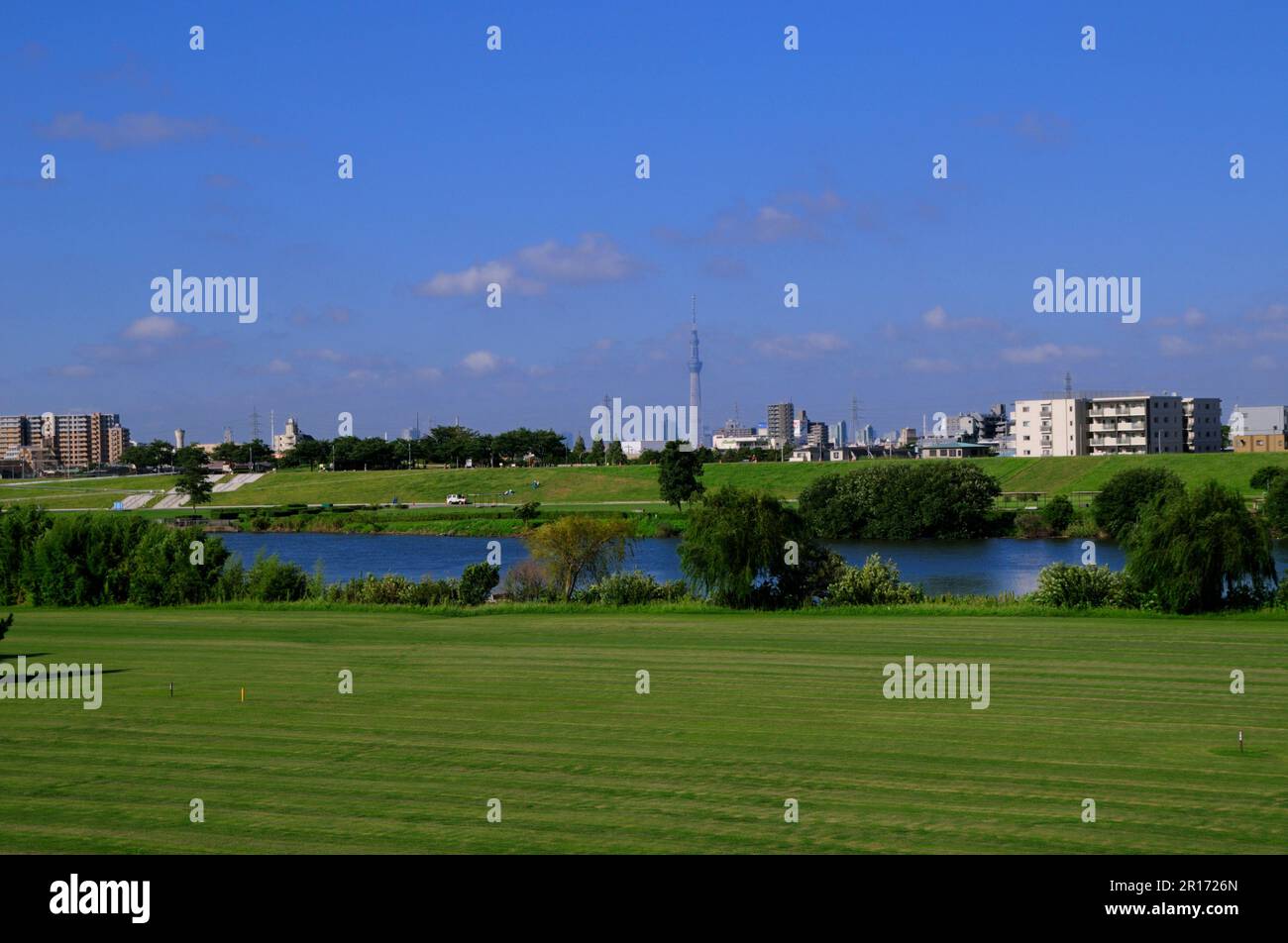 Edogawa River Bank and Tokyo sky tree Stock Photo