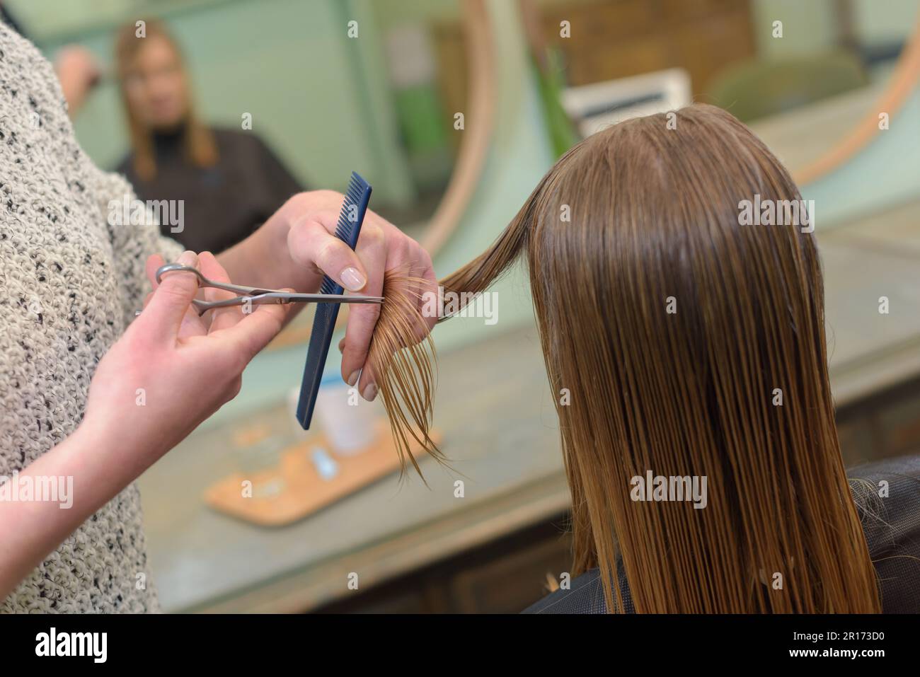 hairdresser cutting customers wet hair Stock Photo Alamy