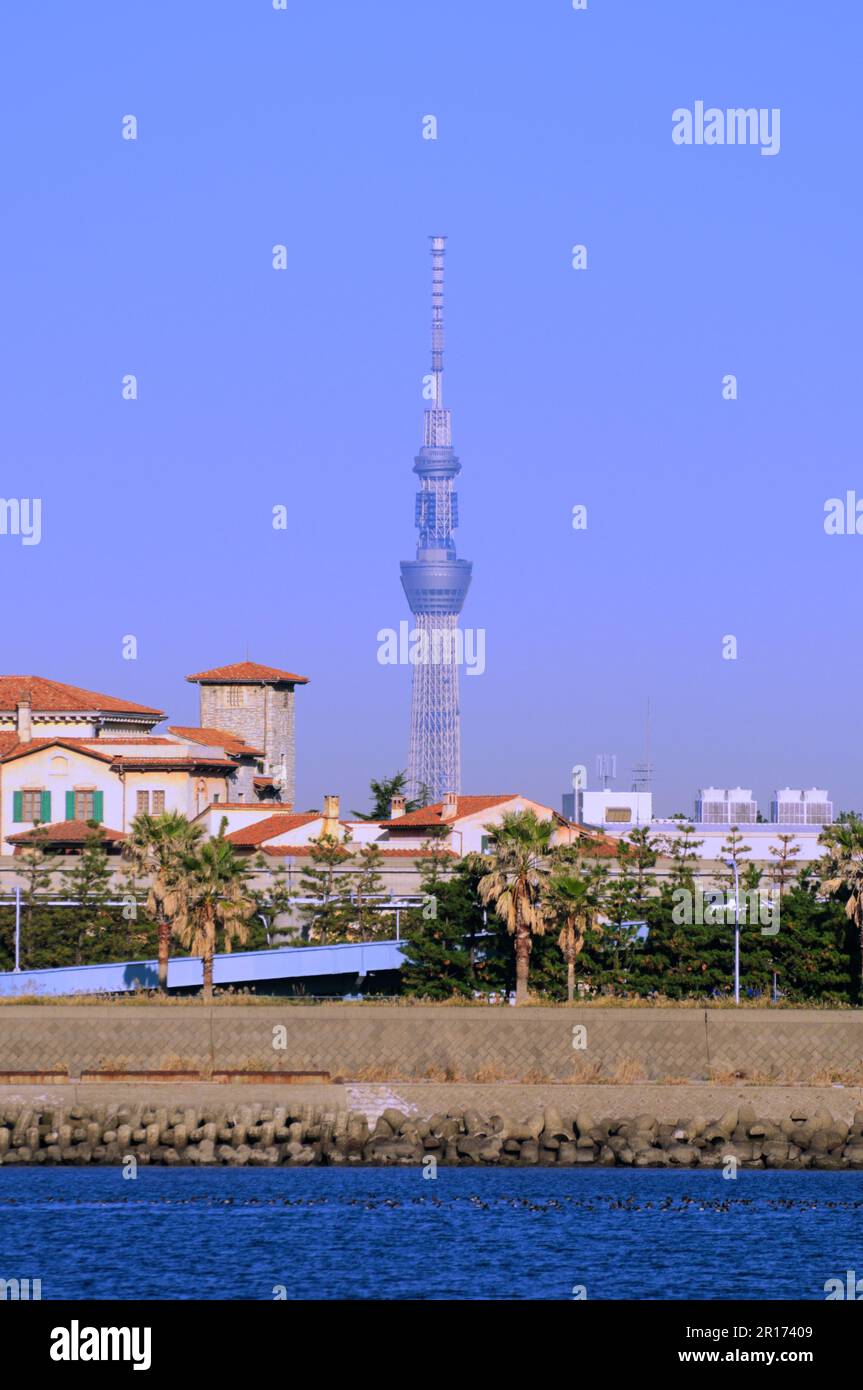 Tokyo sky tree and TDL Stock Photo